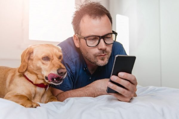Cachorro e tutor no celular pets