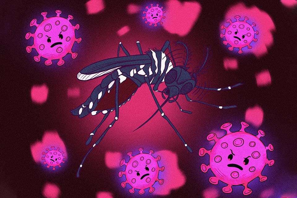Arte mosquito da dengue e coronavírus