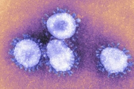 imagem de coronavírus vistos em laboratório