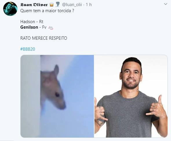 rato do bbb20