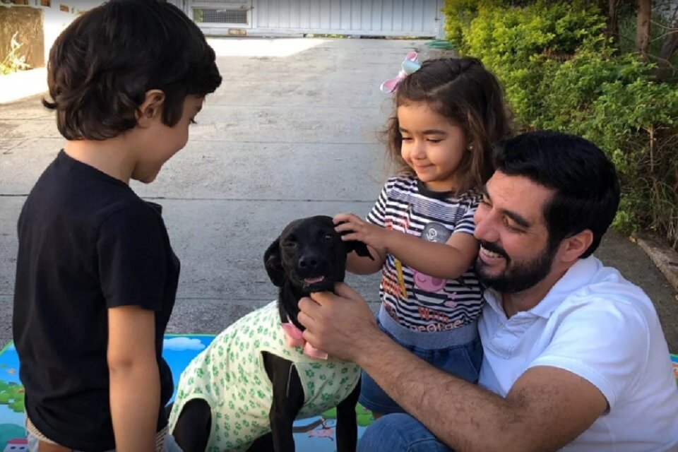 Família adota cachorro na quarentena