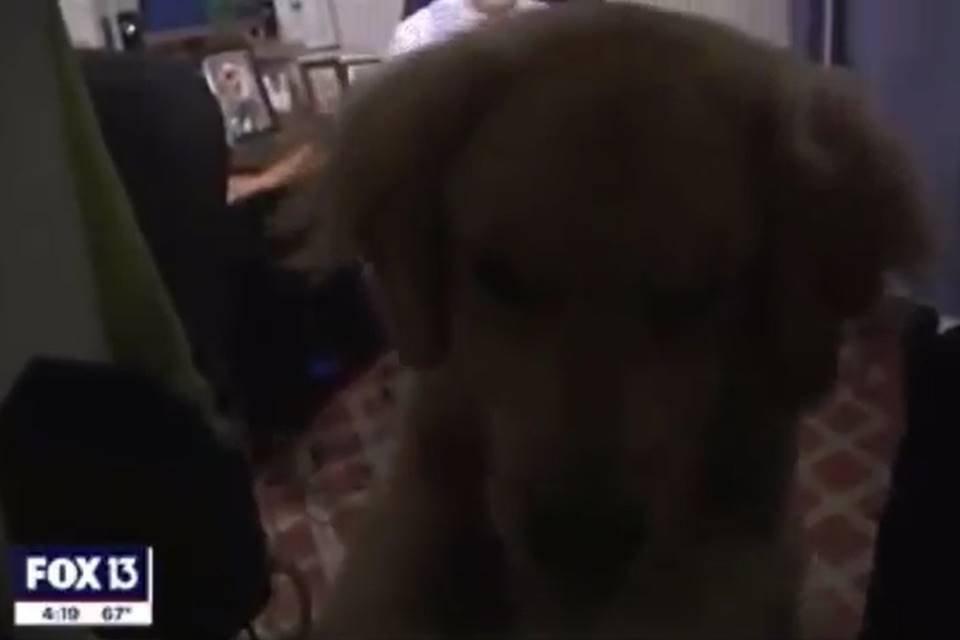 Brody em close na câmera