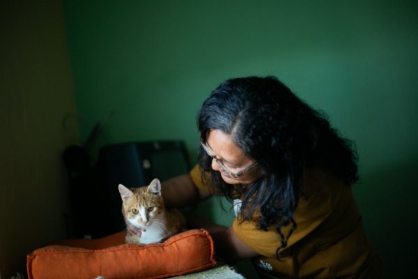 gato e mulher