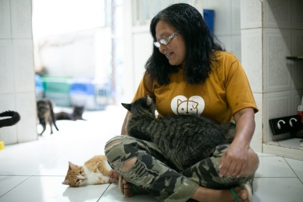 protetora de animais com gatos
