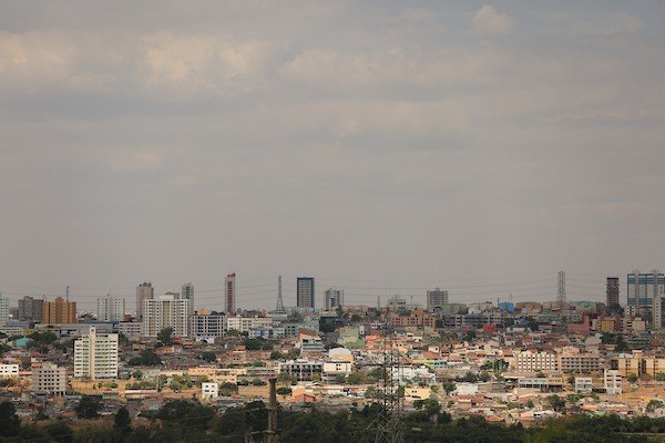 Samambaia