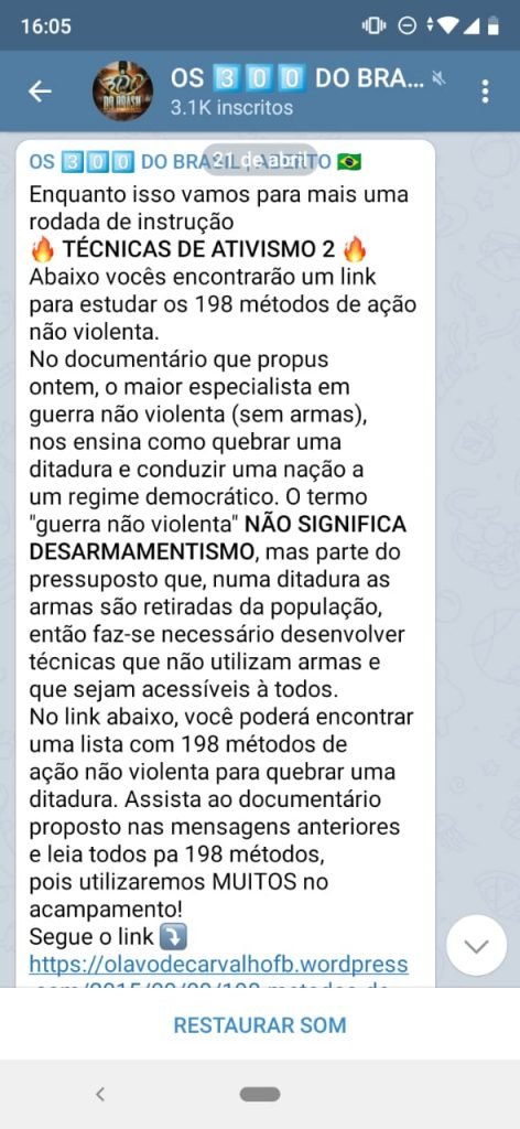 Imagem de tela do Telegram dos 300 do Brasil