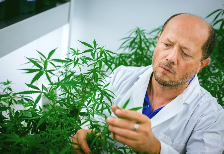 professor de biologia, Igor Kovalchuk, CEO da Pathway RX