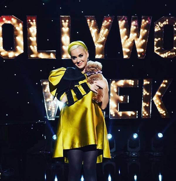 Katy Perry com vestido amarelo Jennifer Behr e sua cadelinha Nugget