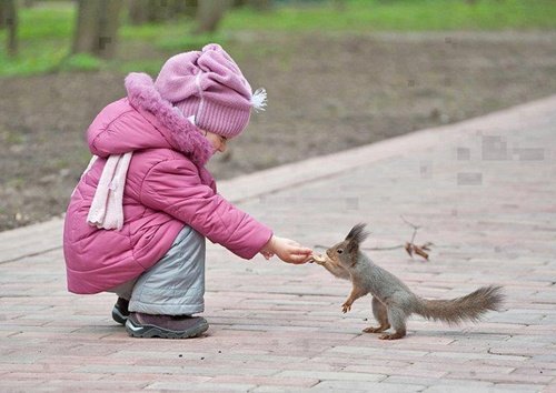ensaio de crianças e animais