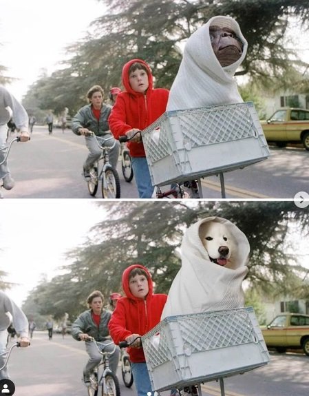 Instagram recria cenas de filmes famosos com cãezinhos