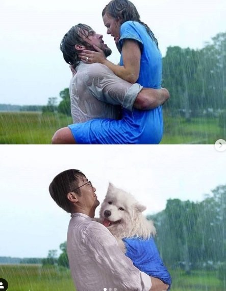Instagram recria cenas de filmes famosos com cãezinhos