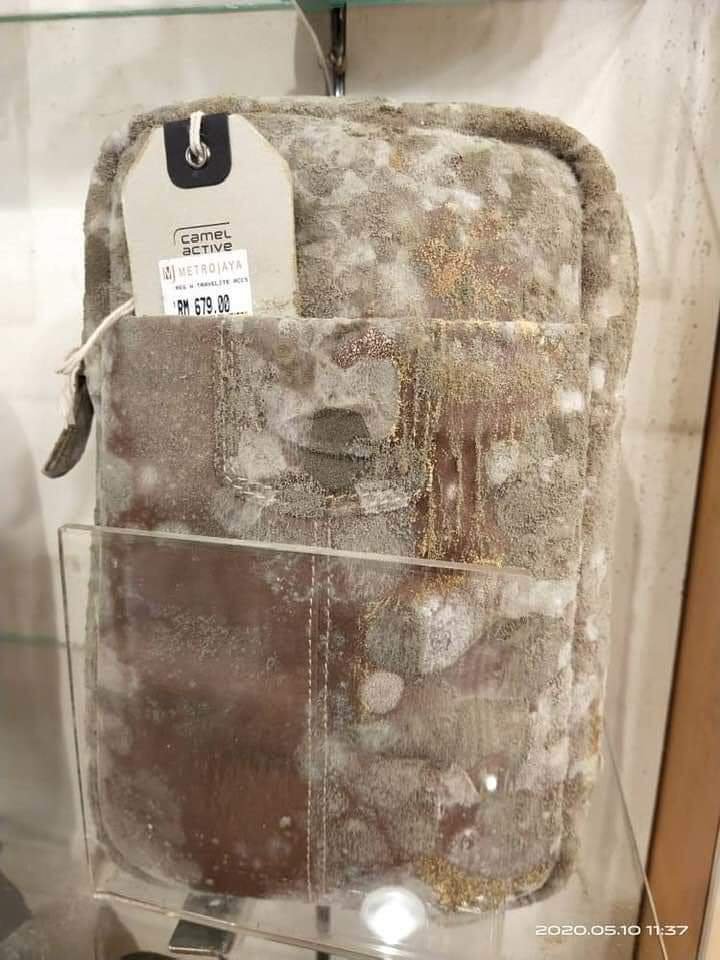 Mochilas-com-mofo
