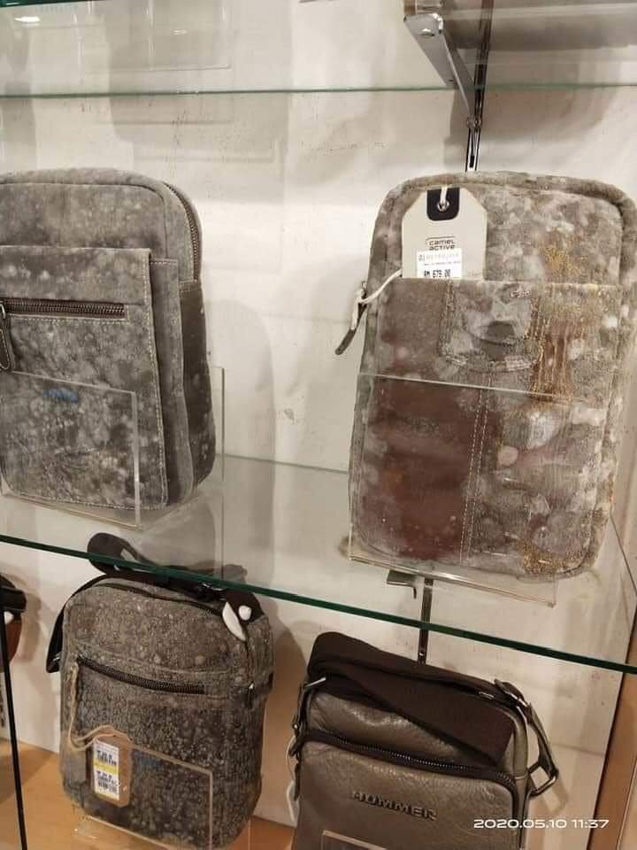 Mochilas-com-mofo