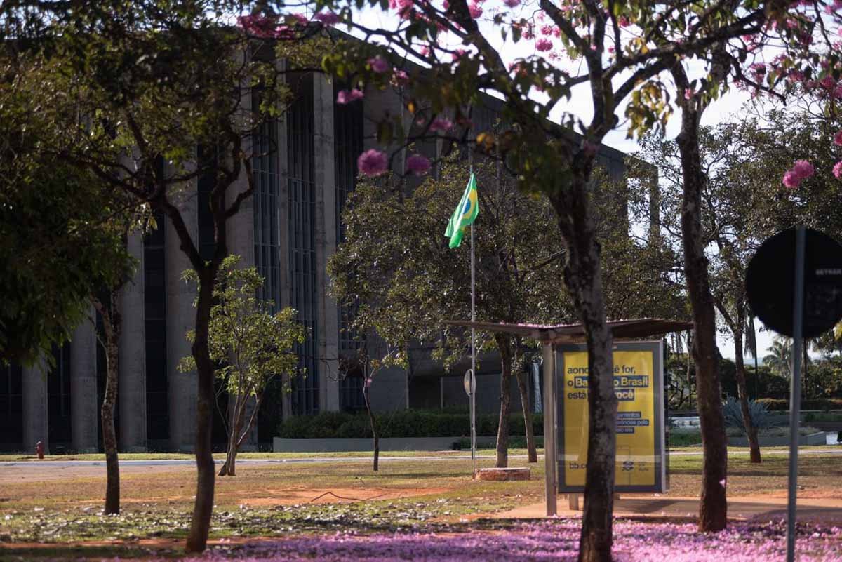 acampamento dos 300 do Brasil é retirado da esplanada