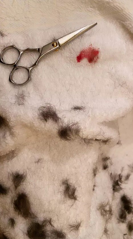 Tesoura, cabelo e sangue