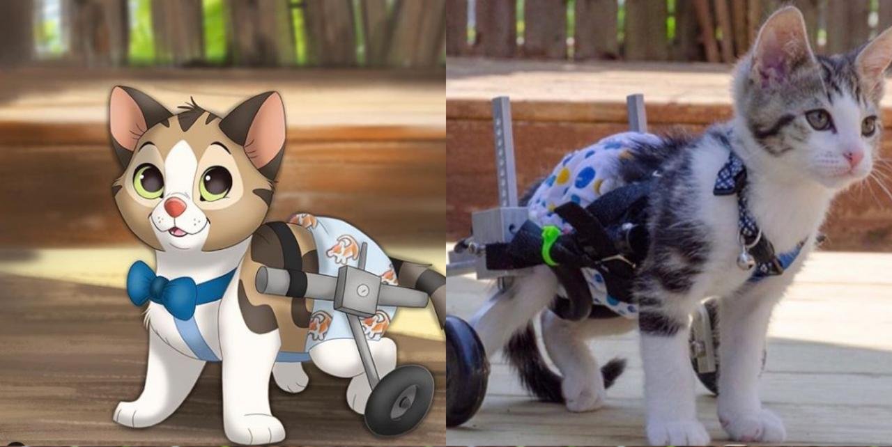 Ilustração de pets