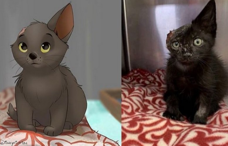 Ilustração de pets