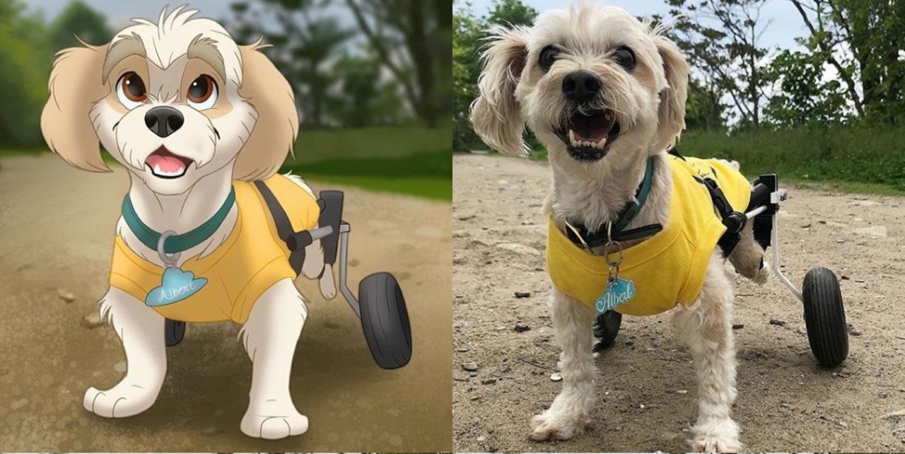Ilustração de pets