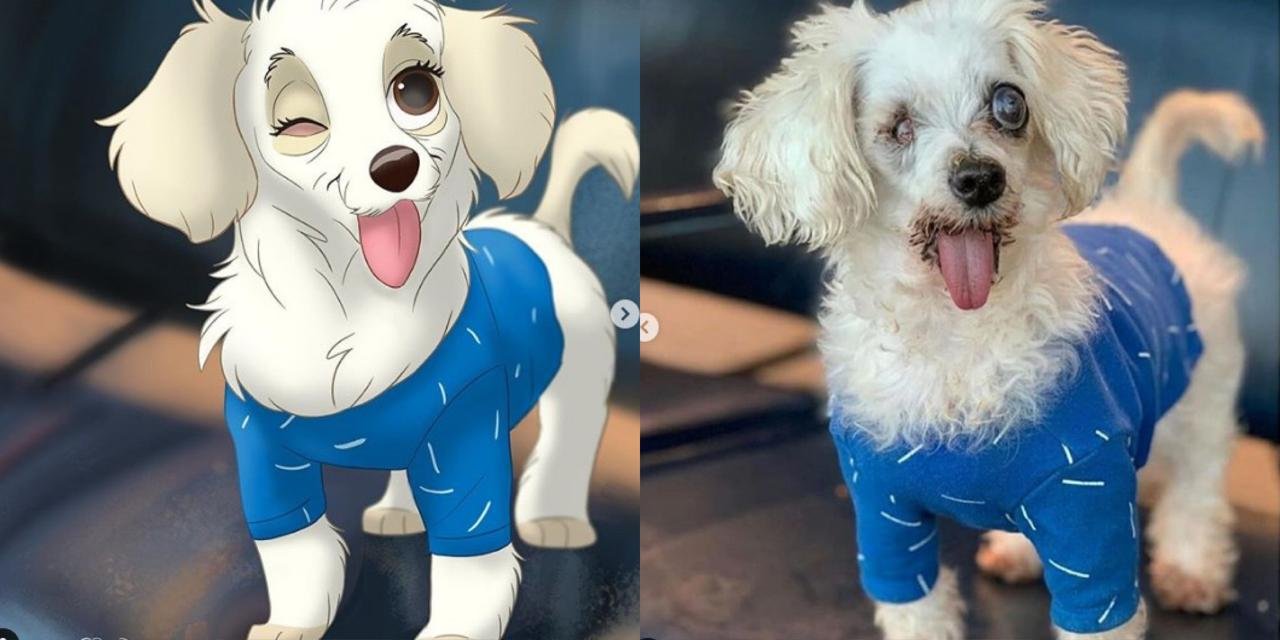 Ilustração de pets