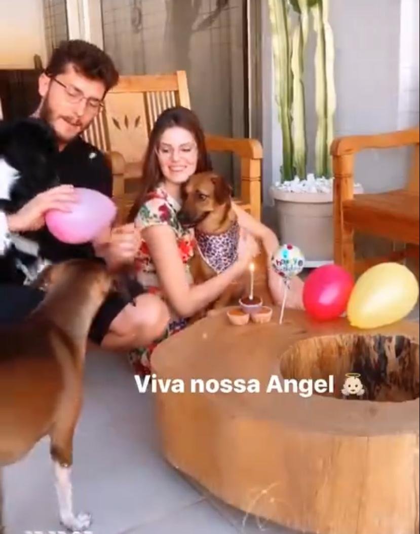 Camila Queiroz, Klebber Toledo e Pets