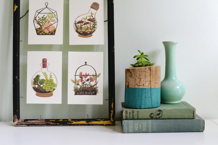 Galhos e troncos na decoração
