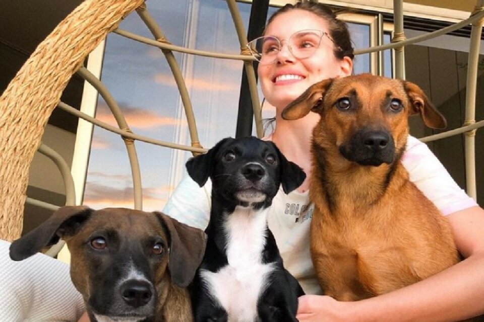 Cachorrinha de Camila Queiroz e Klebber Toledo ganha festa de aniversário