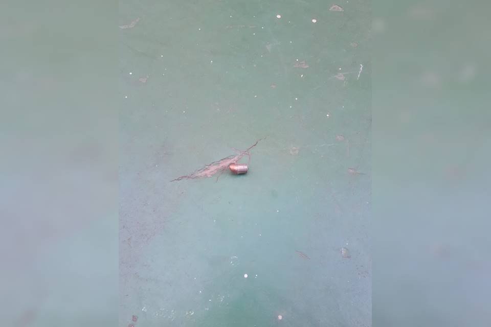 bala de pistola