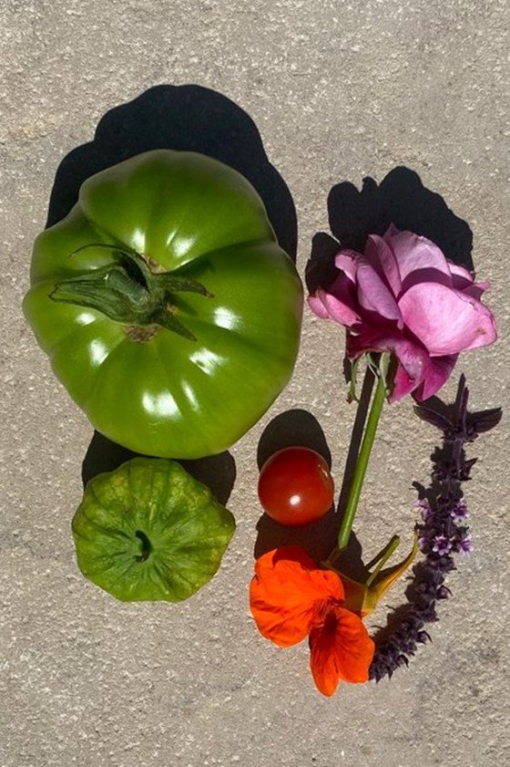 The composition of vegetables Kanye West