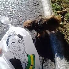 Marca estampa Bolsonaro em saco de coleta de cocô de cães: "Bozobag"