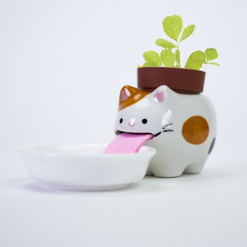 Vaso de planta que rega a planta sozinho