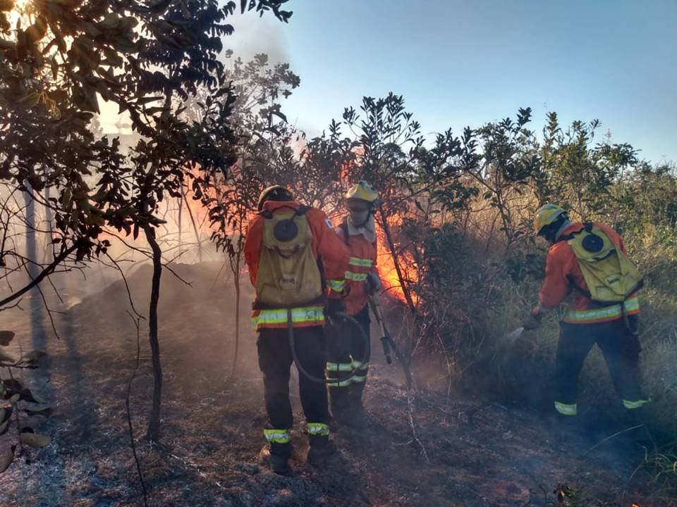 Incêndio no Parque Burle Marx, no Noroeste