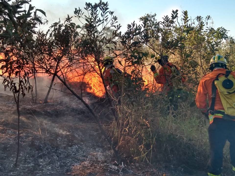 Incêndio no Parque Burle Marx, no Noroeste