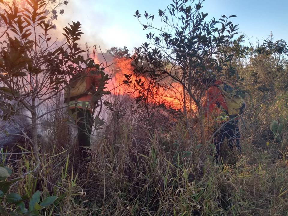 Incêndio no Parque Burle Marx, no Noroeste