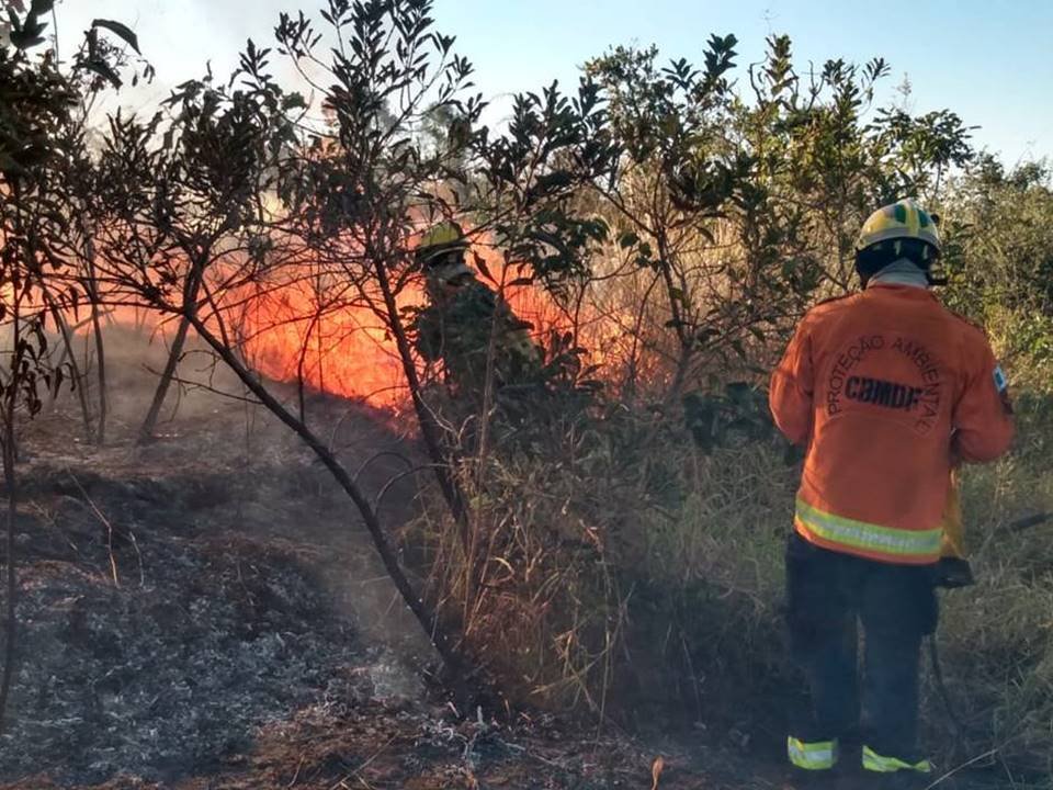 Incêndio no Parque Burle Marx, no Noroeste