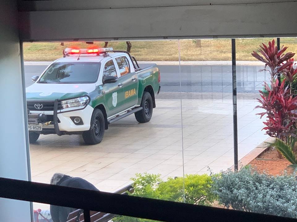 Vídeo. Cobra Naja que picou universitário é encontrada perto de shopping