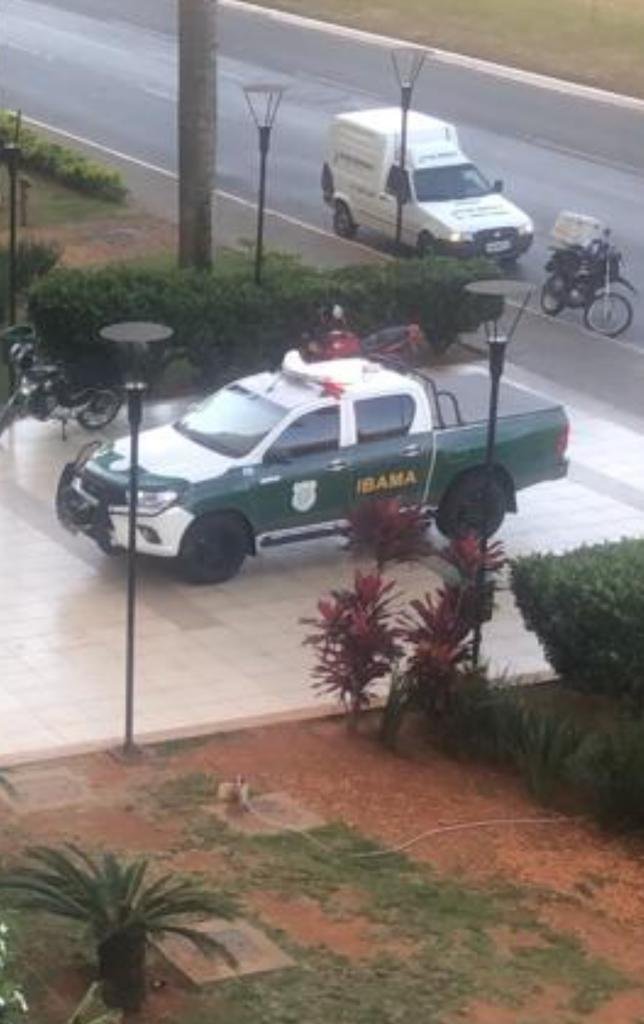 Vídeo. Cobra Naja que picou universitário é encontrada perto de shopping