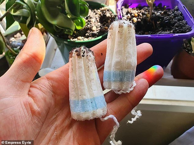Cuidado com as plantas