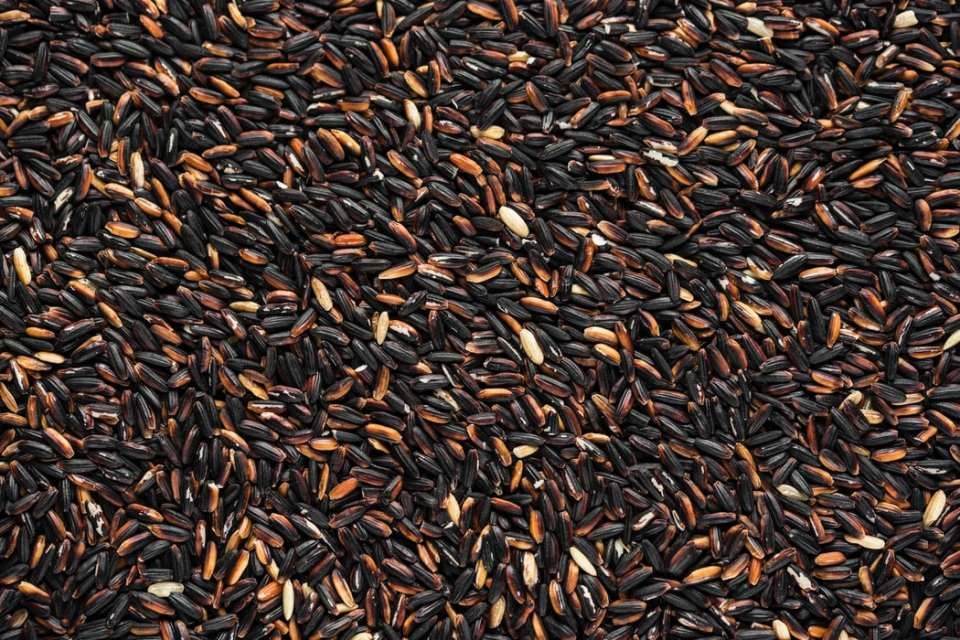 arroz negro
