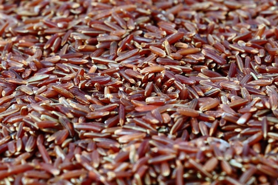 arroz vermelho