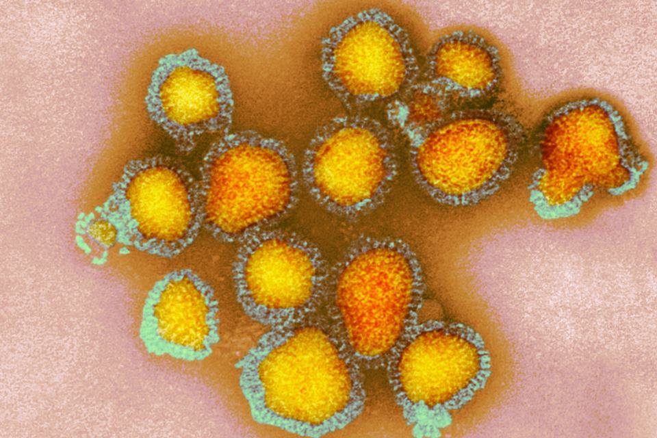 Fotografia colorida.  Influenza em imagem de Vírus