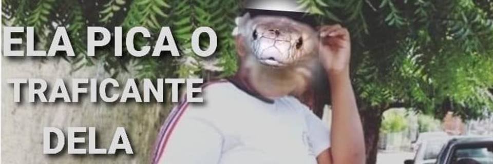 F5 - Bichos - Naja que deixou brasileiro em coma vira meme e ganha