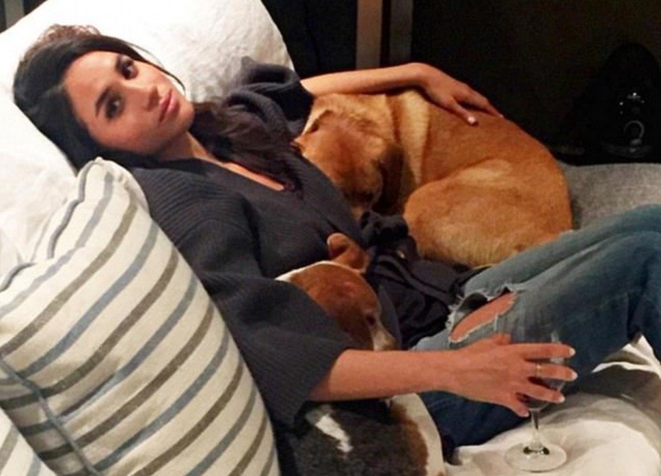 Meghan Markle com seus cachorros Guy e Bogart