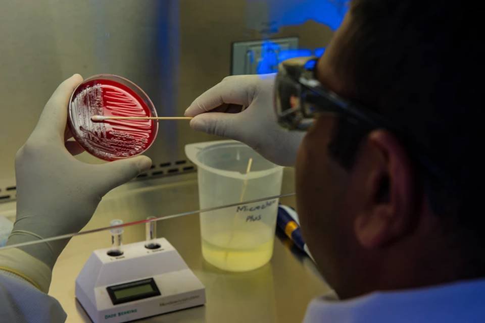 teste em laboratório covid-19