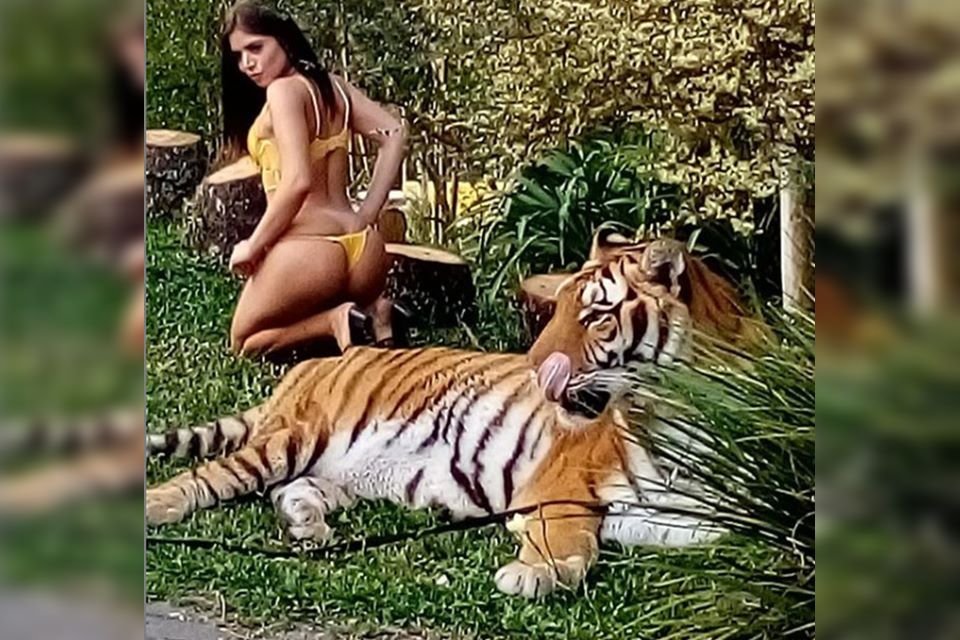 mulher de calcinha e tigre