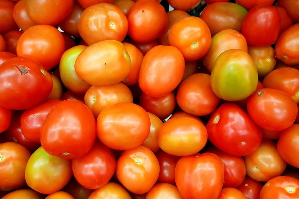 tomates