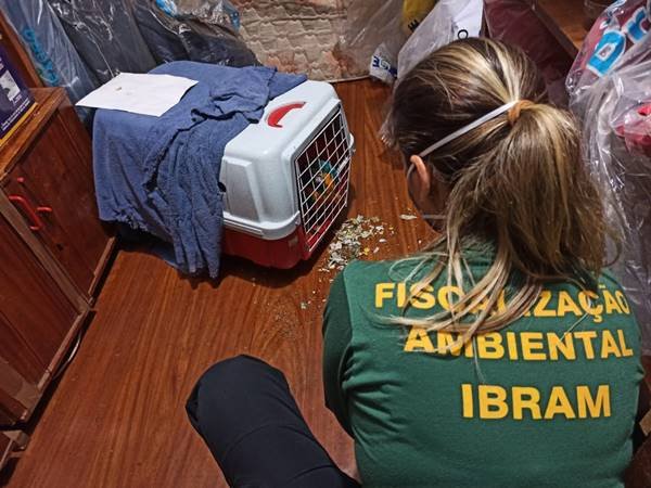 Profissionais constataram maus-tratos a animais