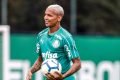 jogador do palmeiras