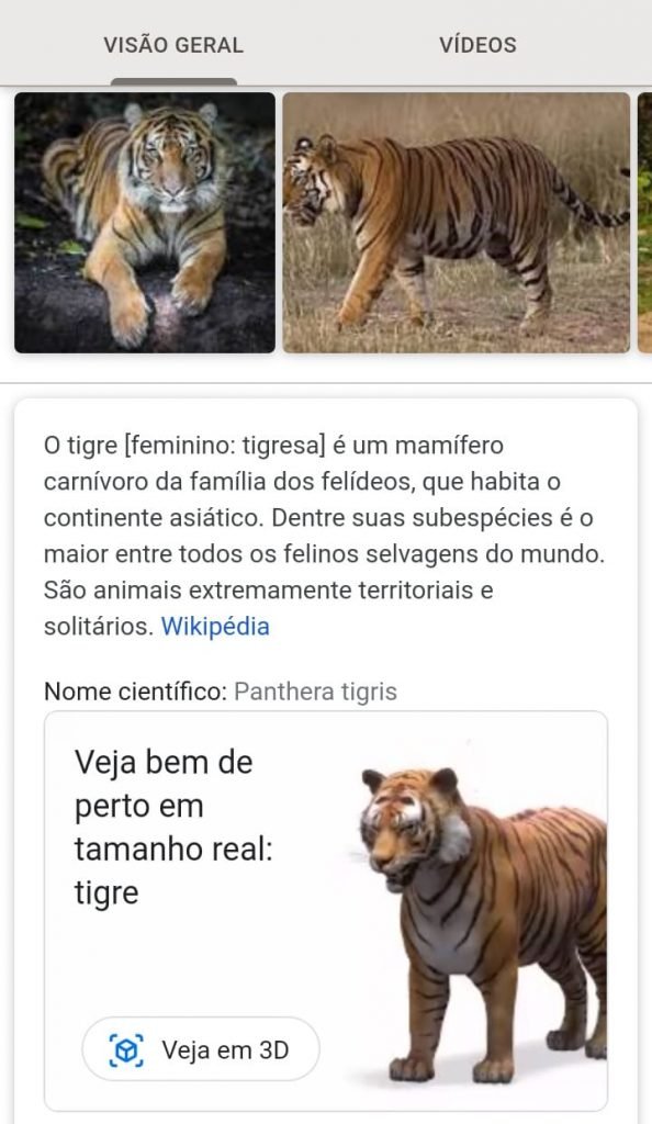 Como ver animais em 3D no Google 