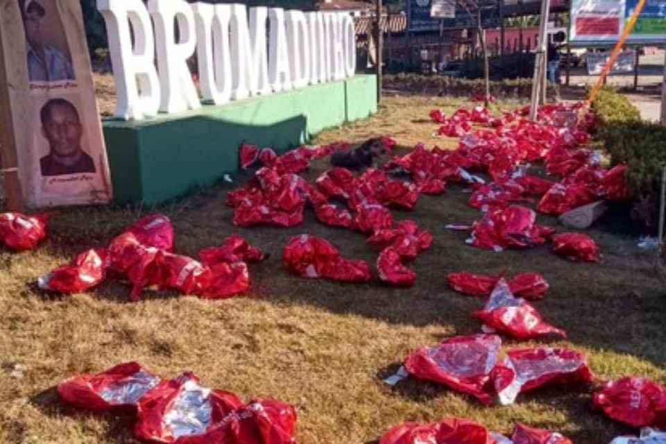 Homem destrói homenagem de Brumadinho