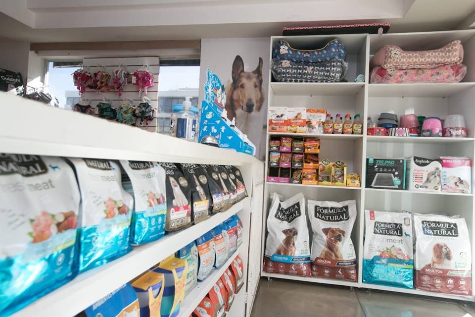 Em meio à crise, empresas do segmento pet de Brasília se reinventam